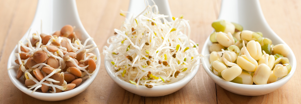macrobiotic diet and cancer