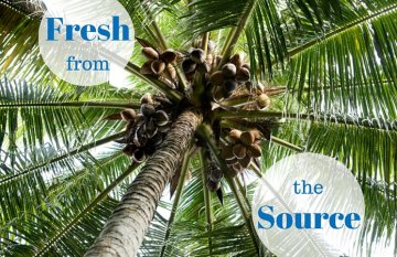 coconut water