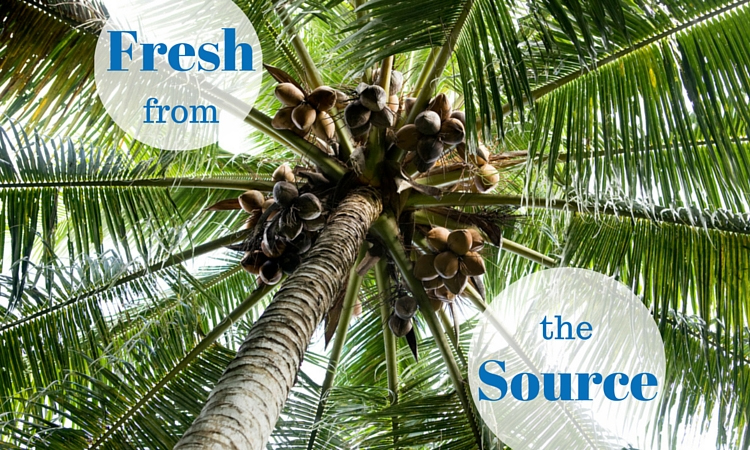 coconut water