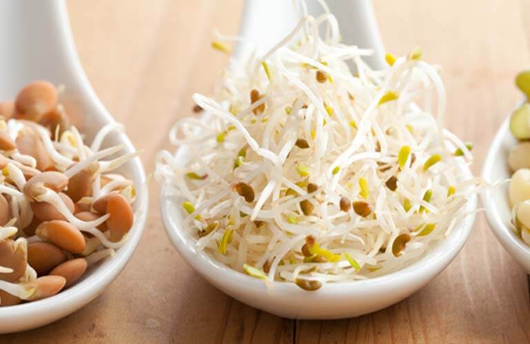 Our Favorite Anti-Cancer Recipes