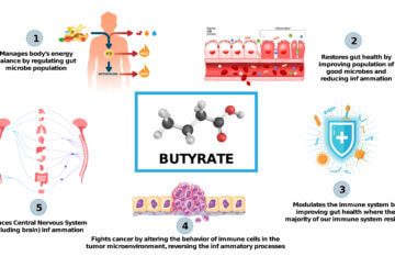 Butyrate Infographic