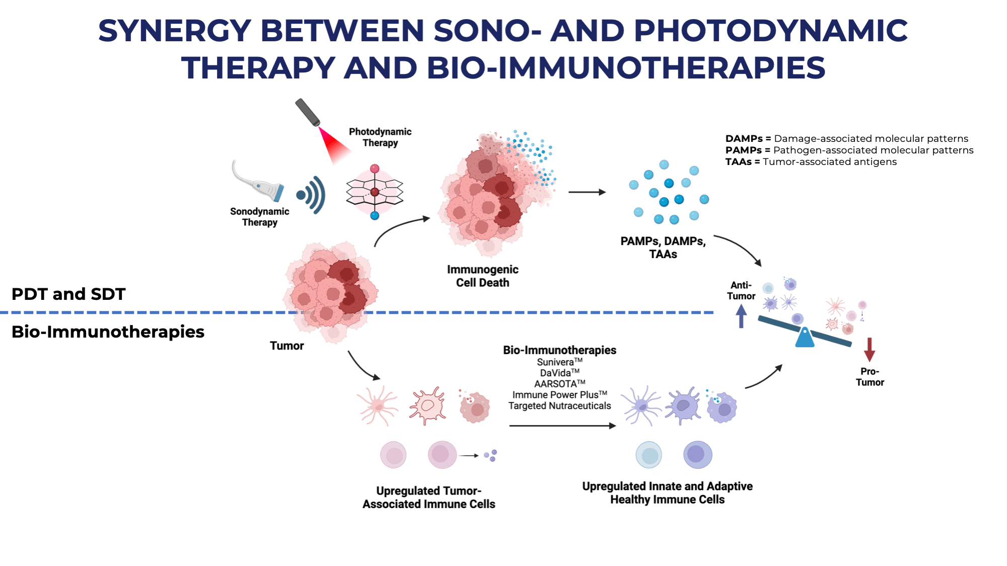 SDT and Immunotherapy