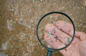 Microplastics in the sand